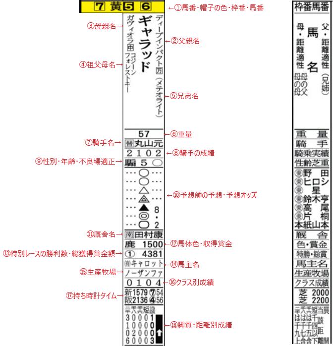 公式サイトより分かりやすい 競馬エイト の読み方 Odinの競馬情報サイト Horse Man World ホースマンワールド