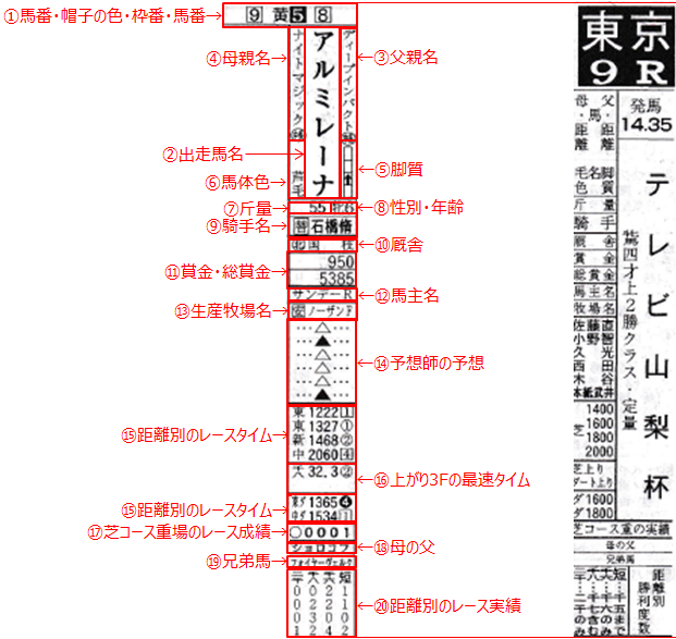 公式サイトより分かりやすい 優馬 の読み方 Odinの競馬情報サイト Horse Man World ホースマンワールド