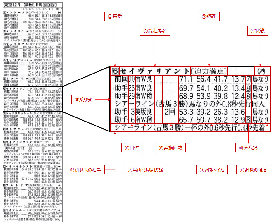 公式サイトより分かりやすい 研究ニュース の読み方 Odinの競馬情報サイト Horse Man World ホースマンワールド