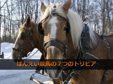 ばんえい競馬の７つのトリビア